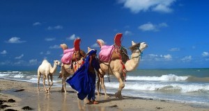 A La découverte de l’île de Djerba