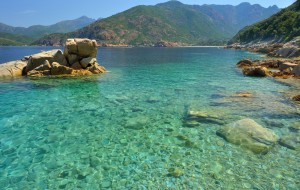 vanace-corse